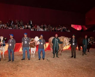 توزيع الجوائز على الكسابة الفائزين في مباريات انتقاء أحسن رؤوس الماشية المعروضة في معرض الفلاحة بمكناس