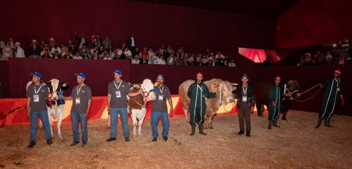 توزيع الجوائز على الكسابة الفائزين في مباريات انتقاء أحسن رؤوس الماشية المعروضة في معرض الفلاحة بمكناس