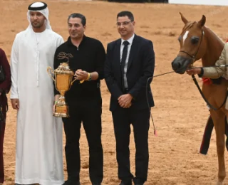 الرباط.. تتويج الفائزين في كأس الإمارات العالمي لجمال الخيل العربية (المغرب 2026)