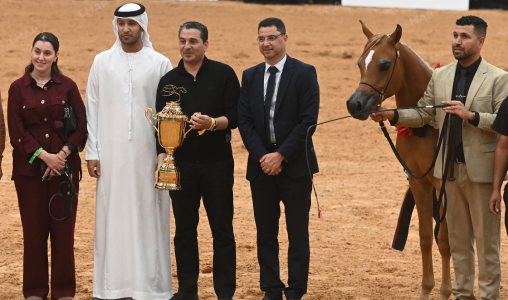 الرباط.. تتويج الفائزين في كأس الإمارات العالمي لجمال الخيل العربية (المغرب 2026)