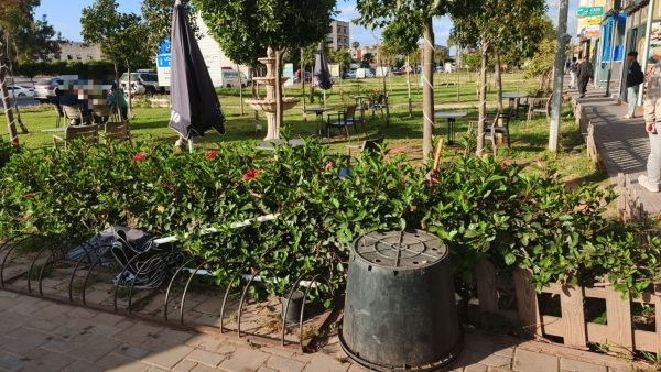 المحمدية…أرباب مقاهي يستولون على حديقة أمام أنظار السلطات المحلية والجماعة ببني يخلف