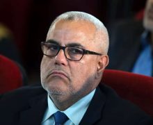 أخطر ما يمكن أن يصيب الحياة السياسية ليس وجود حزب قوي أو ضعيف، بل وجود عقلية استئصالية