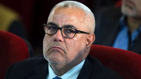 أخطر ما يمكن أن يصيب الحياة السياسية ليس وجود حزب قوي أو ضعيف، بل وجود عقلية استئصالية