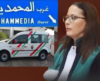مغالطات وأكاذيب في تصريحات  صحفية لأم 3 أطفال  وتحامل على عدة مصالح من أجل التخلص من أبنائها