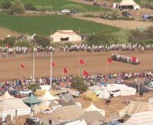 تحديد تاريخ مهرجان زناتة  للفروسية بسيدي موسى المجدوب  في شهر يوليوز