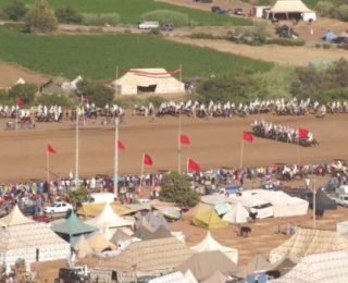 تحديد تاريخ مهرجان زناتة  للفروسية بسيدي موسى المجدوب  في شهر يوليوز