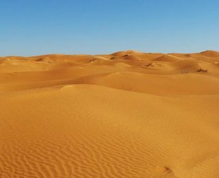 النيجر.. مـ ـ ـوت 49 شخصا عطشا بعد تعطل شاحنتهم في صحراء قاحلة