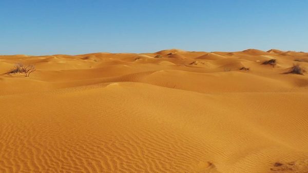 النيجر.. مـ ـ ـوت 49 شخصا عطشا بعد تعطل شاحنتهم في صحراء قاحلة