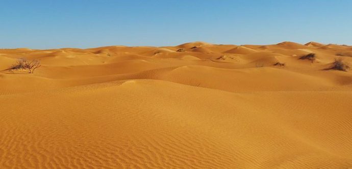 النيجر.. مـ ـ ـوت 49 شخصا عطشا بعد تعطل شاحنتهم في صحراء قاحلة