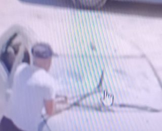 المحمدية ….أسرة بكاملها تجسد معنى ” التسيب ” بعد تخريبها لمجموعة من السيارات