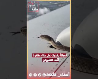 ثعبان  يخرج من محرك طائرة  وهي في السماء( فيديو )