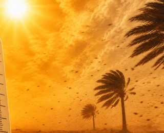 طقس الأربعاء….أجواء حارة وهبوب رياح بعدد من المناطق المغربية