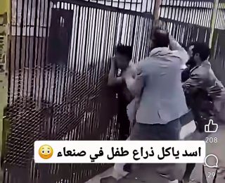 مشهد مـ ـروع ….أسد يبتر دراع طـ ـفل في حديقة حيوان باليمن ( فيديو)