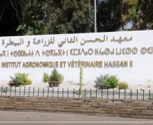 ألأطباء البياطرة يطالبون وزارة الاقتصاد والمالية بالتأشير المالي على ملفاتهم