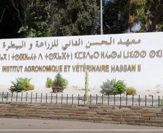 ألأطباء البياطرة يطالبون وزارة الاقتصاد والمالية بالتأشير المالي على ملفاتهم