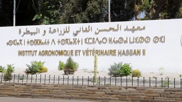 ألأطباء البياطرة يطالبون وزارة الاقتصاد والمالية بالتأشير المالي على ملفاتهم