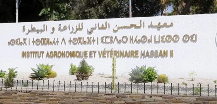 ألأطباء البياطرة يطالبون وزارة الاقتصاد والمالية بالتأشير المالي على ملفاتهم