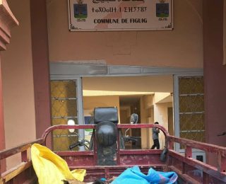 فݣيݣ…..كلاب تهاجم الماشية داخل الإسطبلات والسكان يستنجدون بالجهات المسؤولة