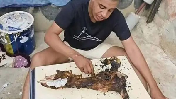 تأجيل استئنافيا محاكمة اليوتيوبر «بنسناس» آكل  لحم كلب