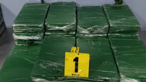 إحباط تهريب حوالي 50 كلغ من الكوكايين بميناء طنجة المتوسط قادمة من البرازيل