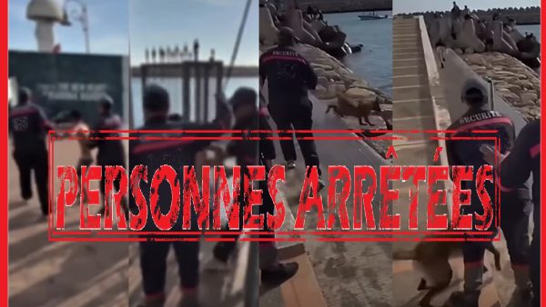 بعد توثيق أفعالهما في أشرطة فيديو.. النيابة العامة بأكادير تحاكم حارسي أمن خاص