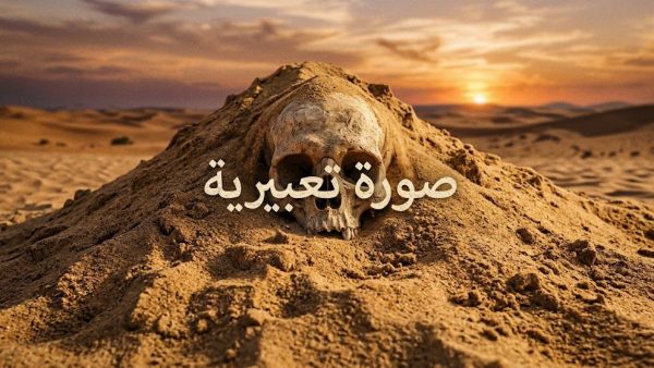 لغز رمال بالدار البيضاء: جمجمة آدمية قادمة من الصويرة تفتح باب التحقيقات الأمنية الواسعة